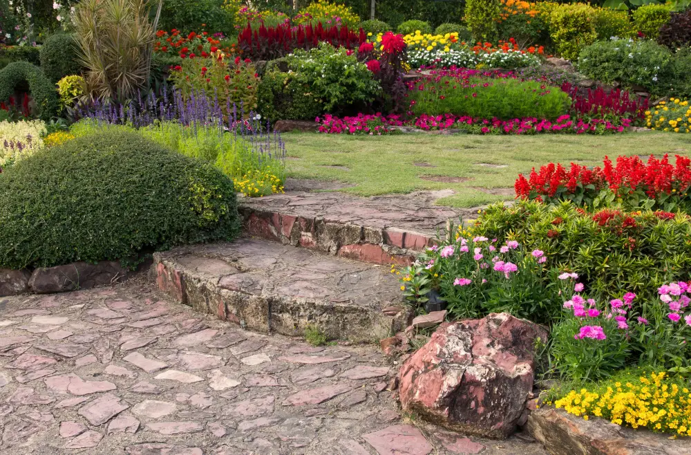 Colorful-flower-in-the-garden