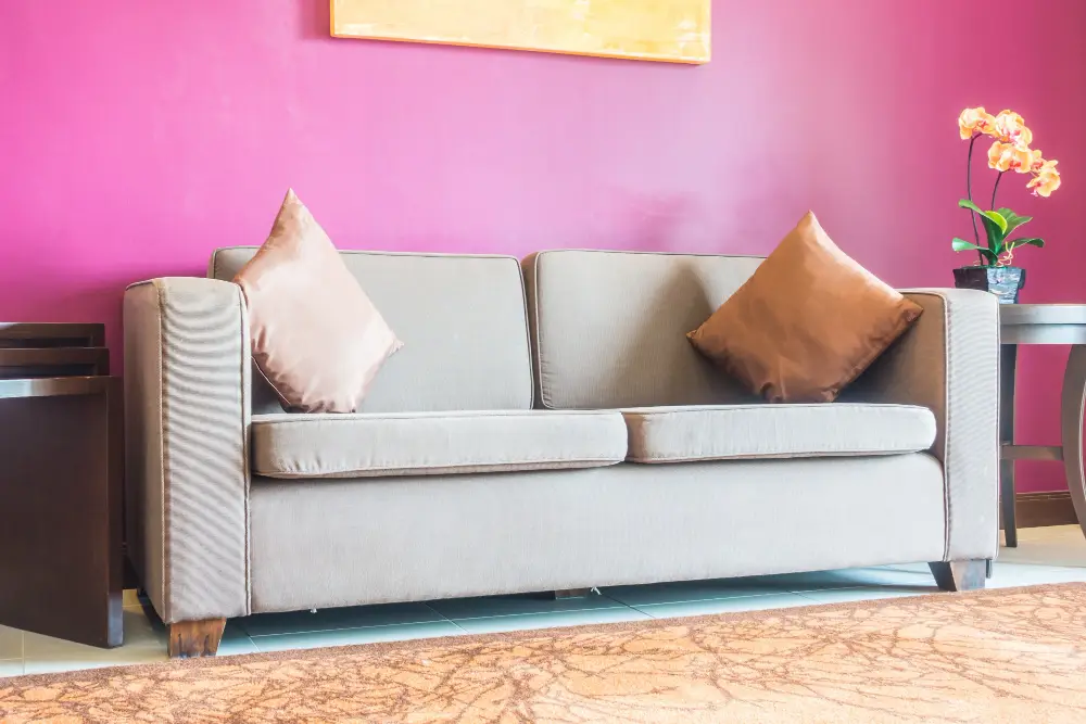 Couch-with-two-cushions